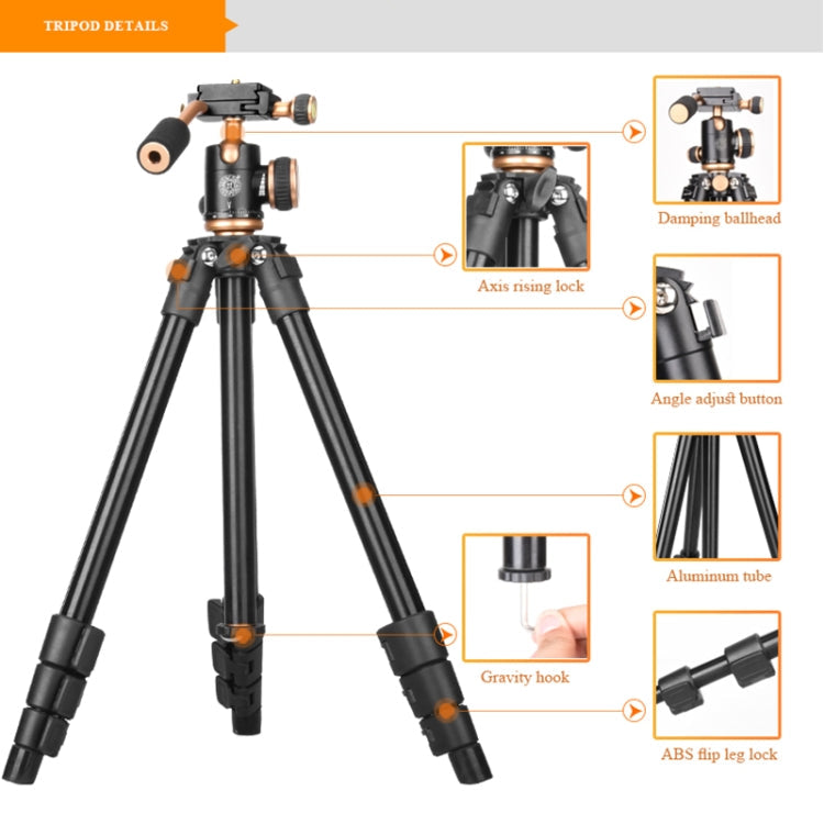 Q160s 4-Section Folding Legs Live Broadcast Aluminum Alloy Tripod Mount with Damping Tripod Ball-Head