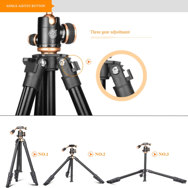 Q160s 4-Section Folding Legs Live Broadcast Aluminum Alloy Tripod Mount with Damping Tripod Ball-Head