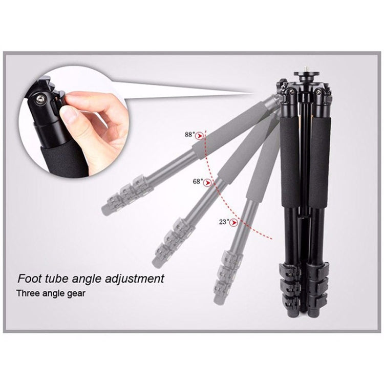 Q620 4-Section Folding Legs Heavy Duty Aluminum Alloy Tripod With Three-Dimensional Damping Tripod Heads