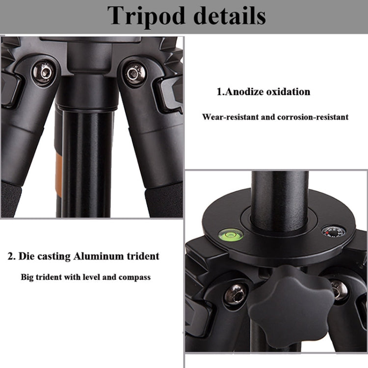 Q620 4-Section Folding Legs Heavy Duty Aluminum Alloy Tripod With Three-Dimensional Damping Tripod Heads