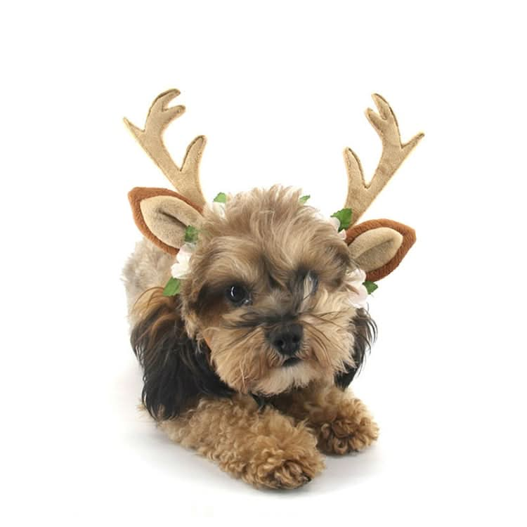 Christmas Pet Accessories Dog Hairpin Cat Ornament Christmas Antler Headband - Reluova