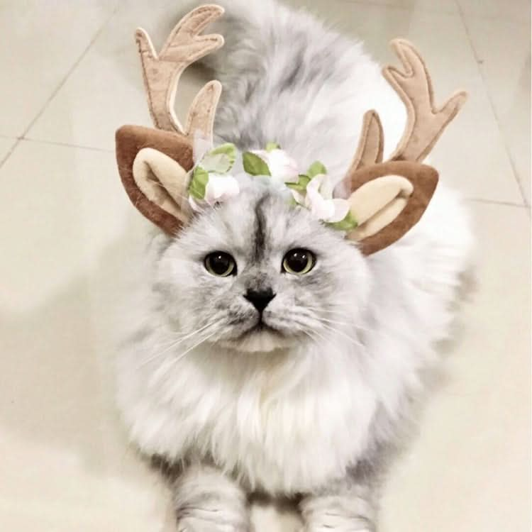 Christmas Pet Accessories Dog Hairpin Cat Ornament Christmas Antler Headband - Reluova