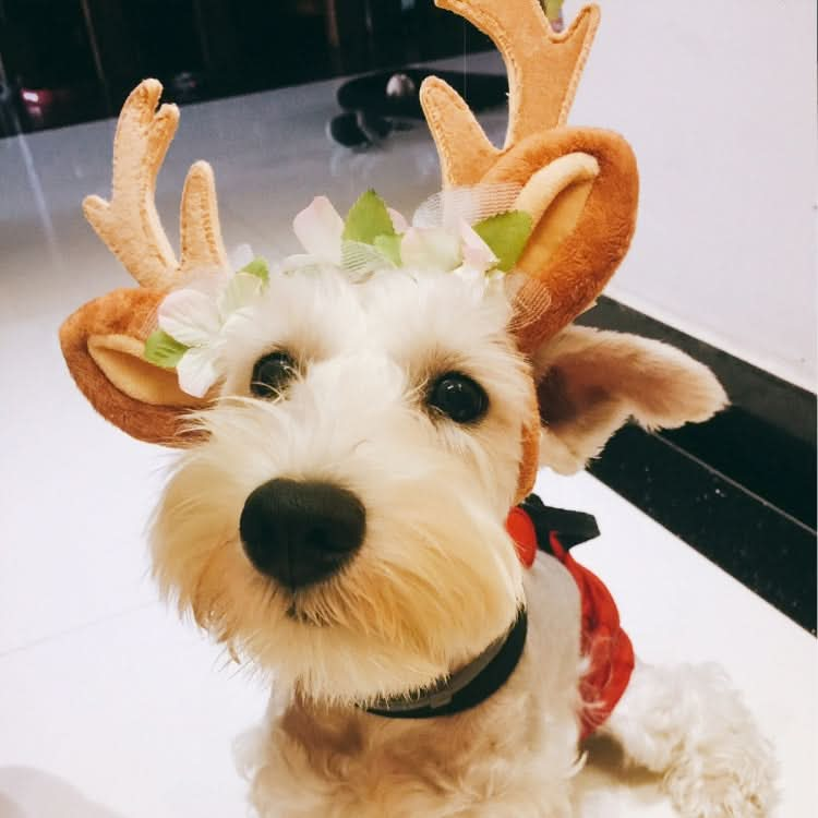 Christmas Pet Accessories Dog Hairpin Cat Ornament Christmas Antler Headband - Reluova