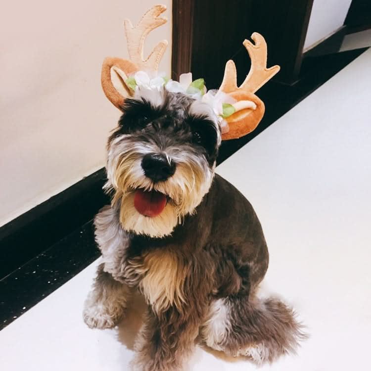 Christmas Pet Accessories Dog Hairpin Cat Ornament Christmas Antler Headband - Reluova