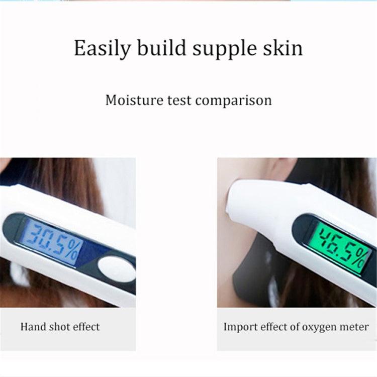 Handheld High Pressure Oxygen Injector Portable Large Spray Facial Moisturizer Household Moisturizing Beauty Equipment