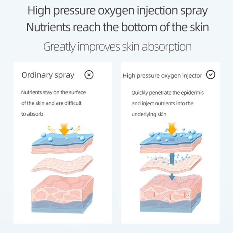 Handheld High Pressure Oxygen Injector Portable Large Spray Facial Moisturizer Household Moisturizing Beauty Equipment Reluova