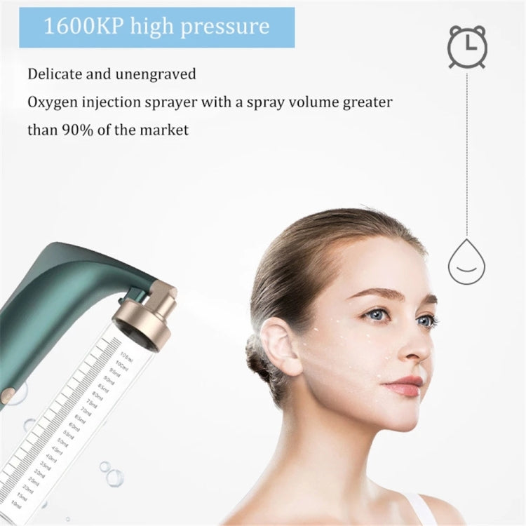 Handheld High Pressure Oxygen Injector Portable Large Spray Facial Moisturizer Household Moisturizing Beauty Equipment Reluova