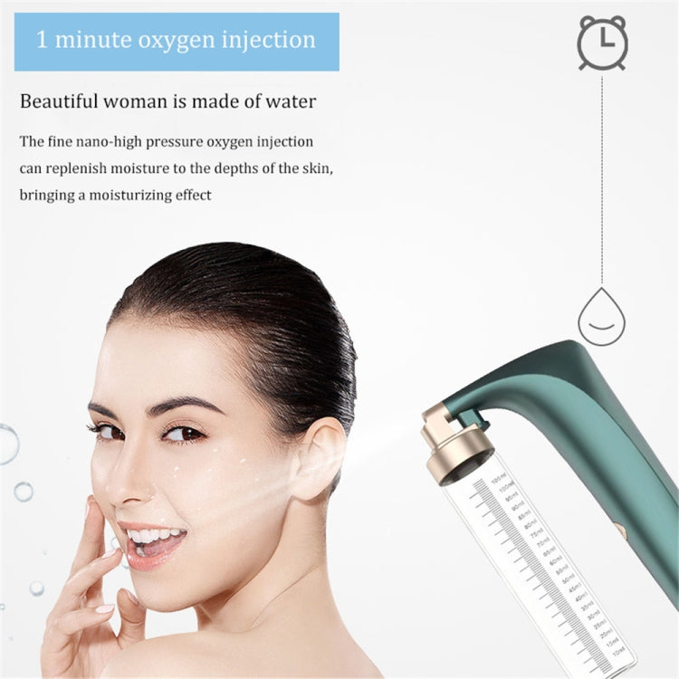 Handheld High Pressure Oxygen Injector Portable Large Spray Facial Moisturizer Household Moisturizing Beauty Equipment Reluova