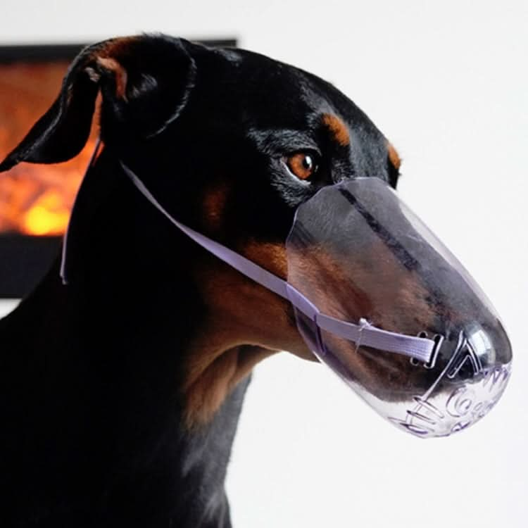 Pets Bathing Injection Anti-Bite Transparent Muzzle - Reluova