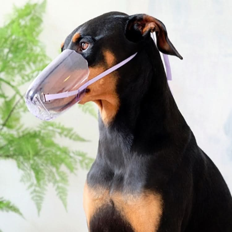 Pets Bathing Injection Anti-Bite Transparent Muzzle - Reluova