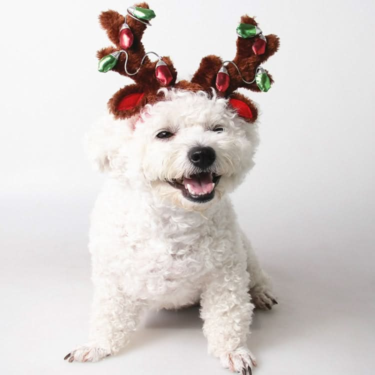 Pet Supplies Puppy Christmas Hat Holiday Jewelry Sequined Antlers - Reluova