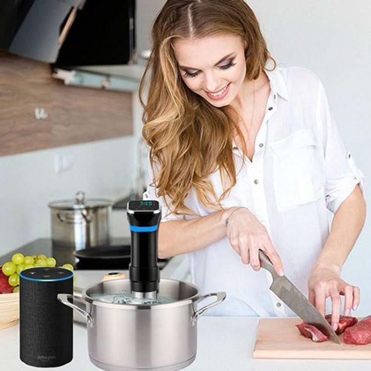 Low Temperature Slow Cooker Thawed Vacuum Steak Machine - Reluova