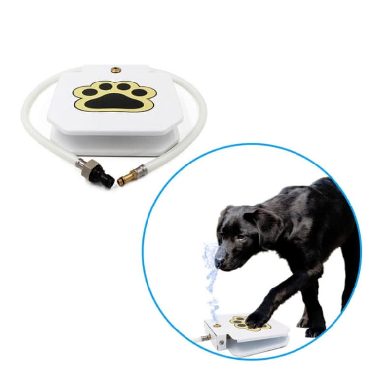 Pet Smart Fountain Automatic Drinking Fountain - Reluova