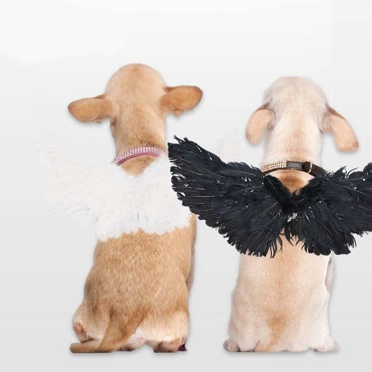 Pet Christmas Halloween Feather Wings Devil And Angel Holiday Makeup - Reluova