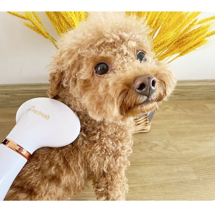 Pet Hair Dryer Cat & Dog Cleaning Electric Comb - Reluova