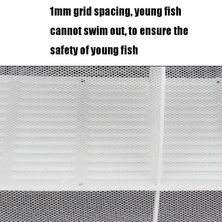 Large Aquarium Incubator Small Fish Isolation Box Net Tropical Fish Breeding Box - Reluova