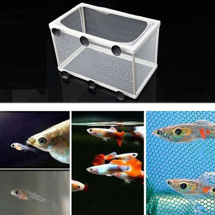 Large Aquarium Incubator Small Fish Isolation Box Net Tropical Fish Breeding Box - Reluova