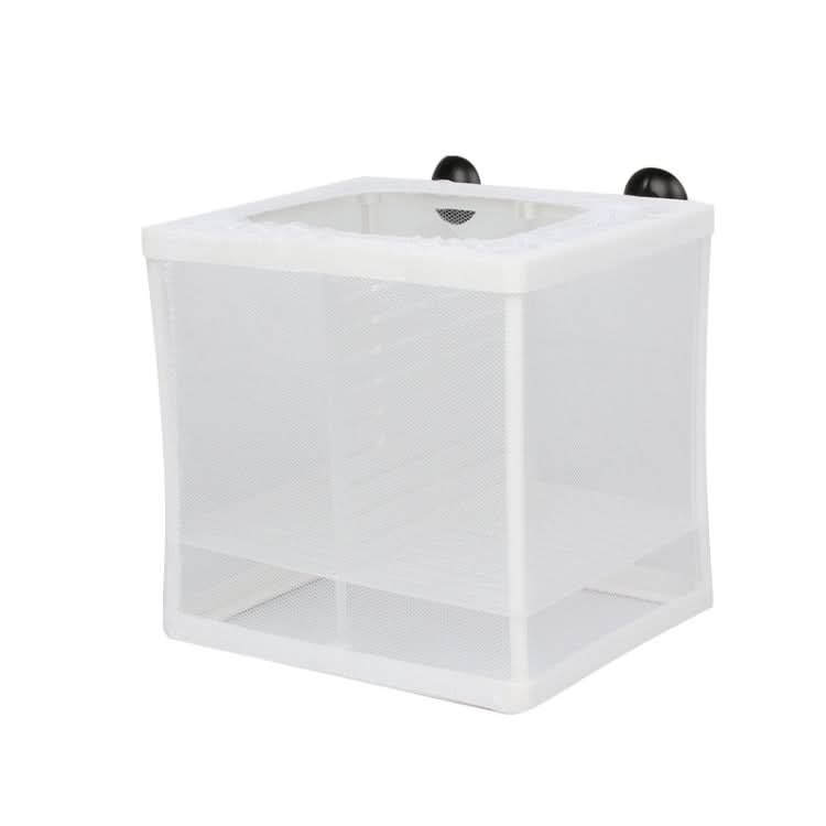 Small Size With Clapboard Incubator Small Fish Isolation Box Net Tropical Fish Breeding Box - Reluova