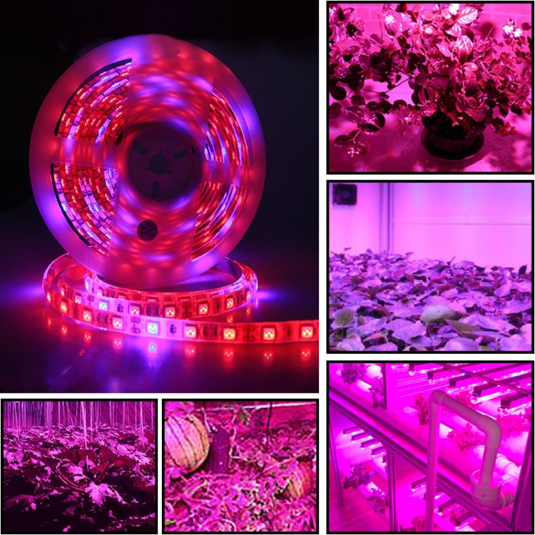 5m 300 LEDs SMD 5050 Full Spectrum LED Strip Light Fitolampy Grow Lights for Greenhouse Hydroponic Plant My Store