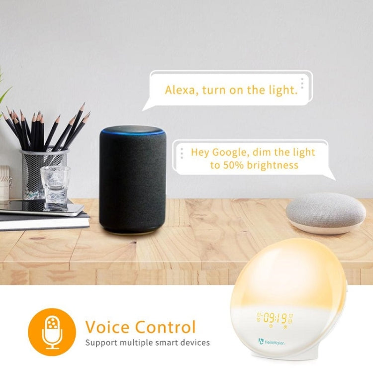 Alexa Voice-Activated Electronic Alarm Clock Sunrise Wake Up Night Light Support Smart APP Control, My Store