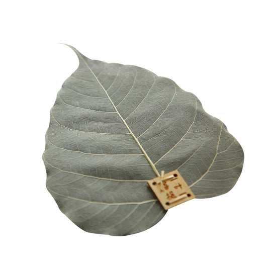 Creative Personality Natural Bodhi Leaf Filter Tea Leak