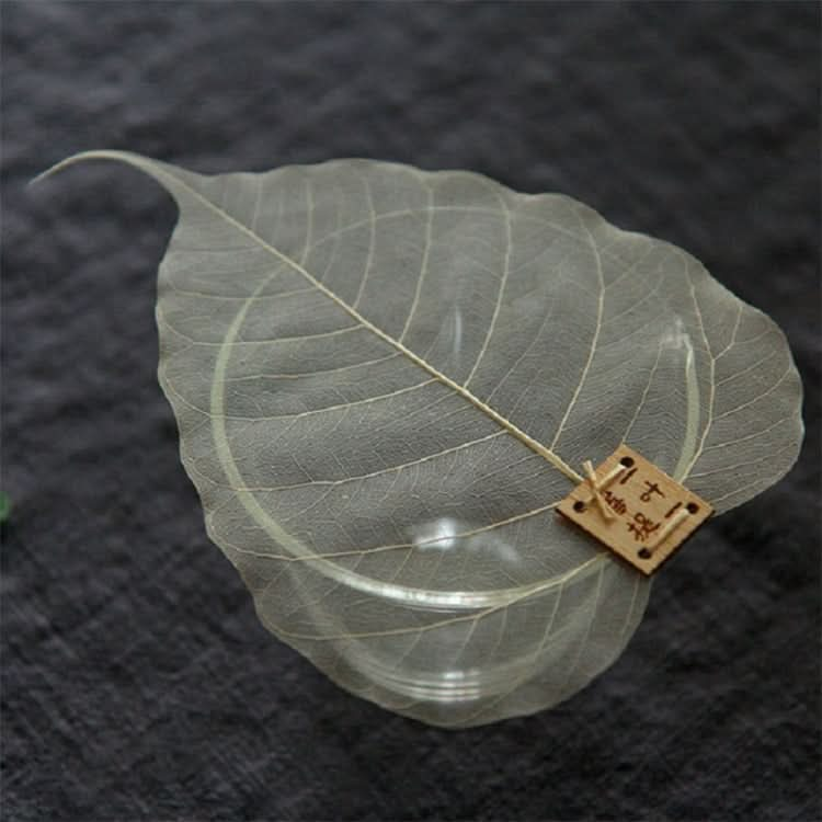 Creative Personality Natural Bodhi Leaf Filter Tea Leak Reluova