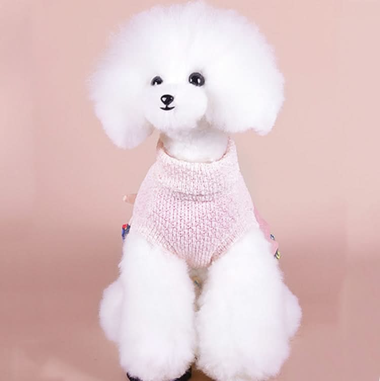 Autumn And Winter Pet Skirt Teddy Bichon Hiromi Schnauzer Yorkshire Small Dog Clothes - Reluova