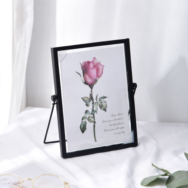 Metal Glass Photo Frame Plant Specimen Holder My Store