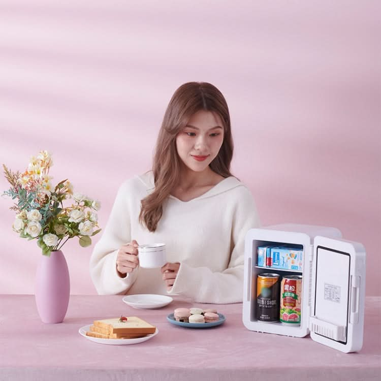 5L Beauty Makeup Mirror Skin Care Products And Facial Mask Refrigerator Semiconductor Car Refrigerator