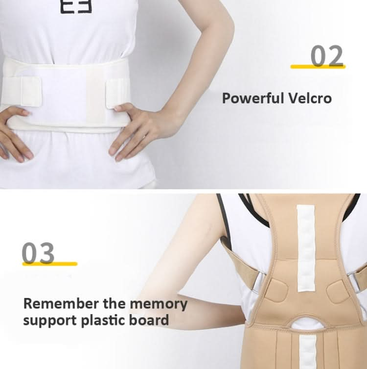 Adult Back Posture Correction Belt Kyphosis Correction Body Restraint Belt Reluova