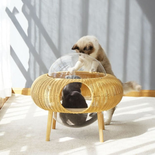 Closed Removable And Washable Breathable Space Capsule Rattan Cat Litter Starry Sky Cat House - Reluova