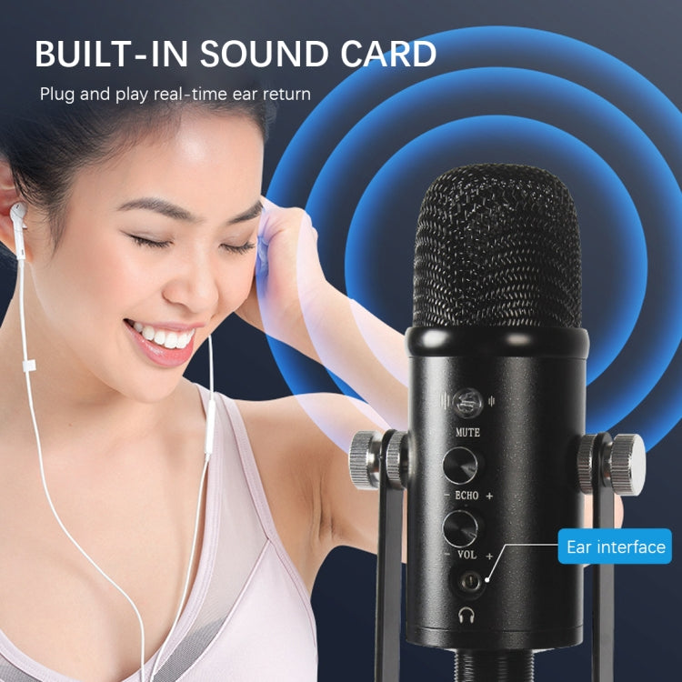 BM-86 USB Condenser Microphone Voice Recording Computer Microphone Live Broadcast Equipment Set