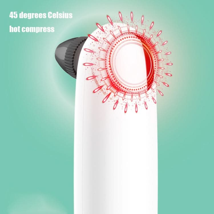 2046 Visualized Hot Compress Blackhead Suction Device Pore Cleaner and Bubble Export Instrument-Reluova