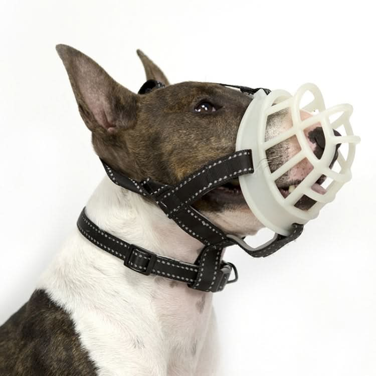 Fluorescent Dog Mouth Cover Pet Masks Anti-Bite And Bark Stopper Pet Supplies - Reluova