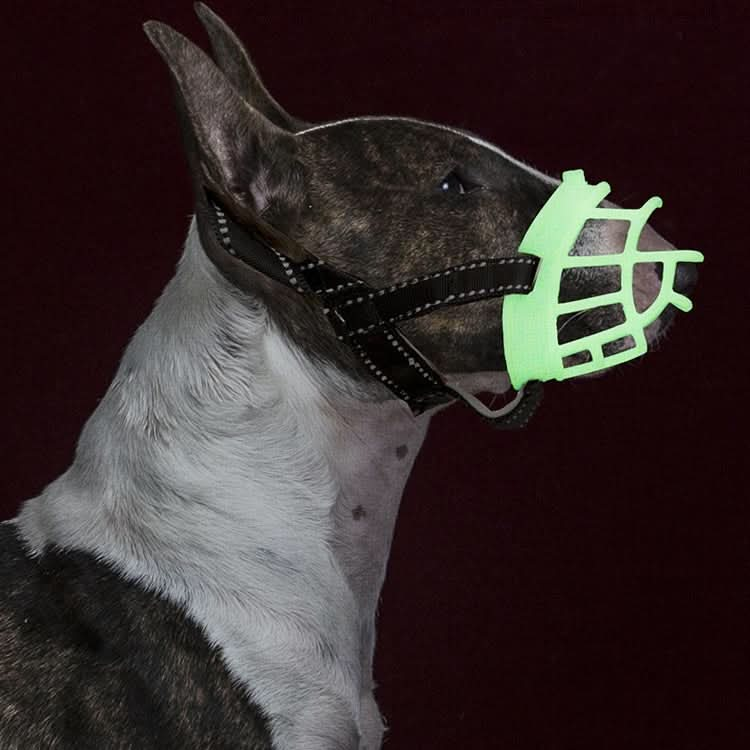 Fluorescent Dog Mouth Cover Pet Masks Anti-Bite And Bark Stopper Pet Supplies - Reluova