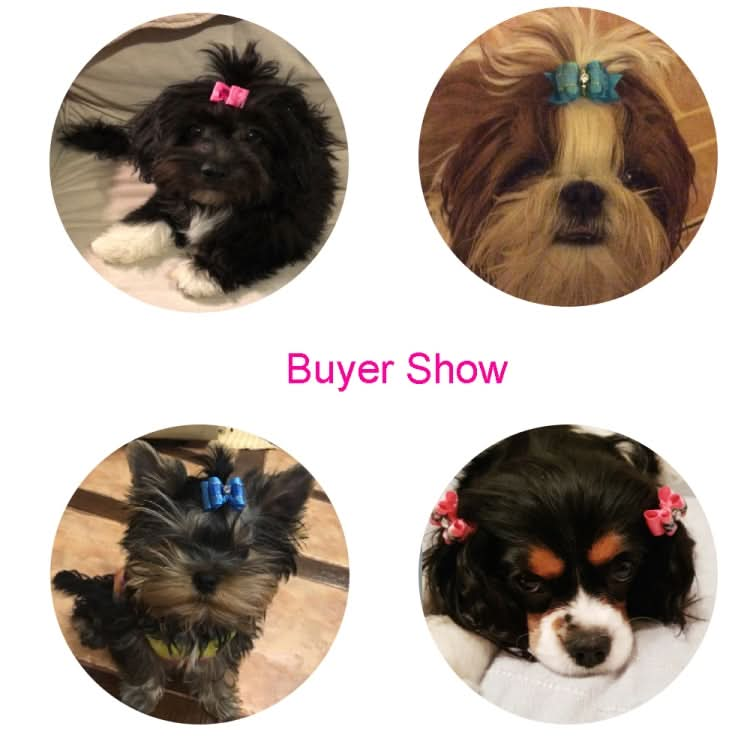 10pcs Handmade Cute Pet Dog Bow Loverly Bowknot Dog Ties - Reluova