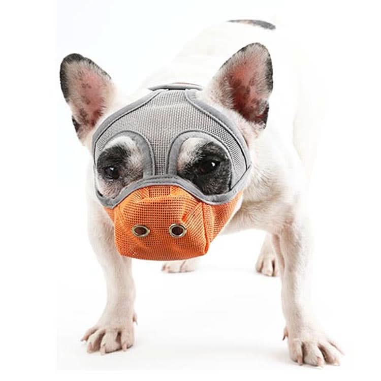 Bulldog Mouth Cover Flat Face Dog Anti-Eat Anti-Bite Drinkable Water Mouth Cover - Reluova