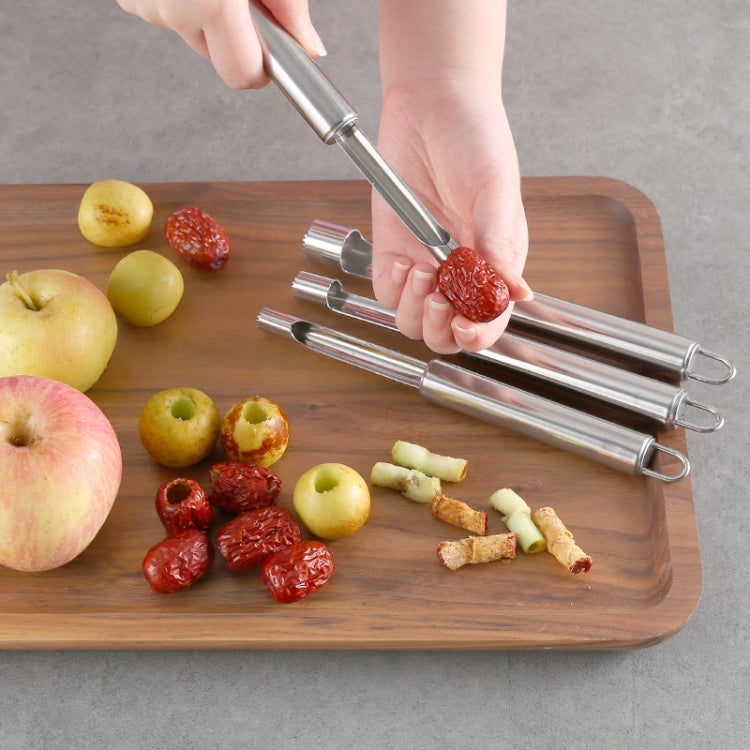 3 PCS Kitchen Stainless Steel Thickened Hawthorn And Red Dates Corer-Reluova