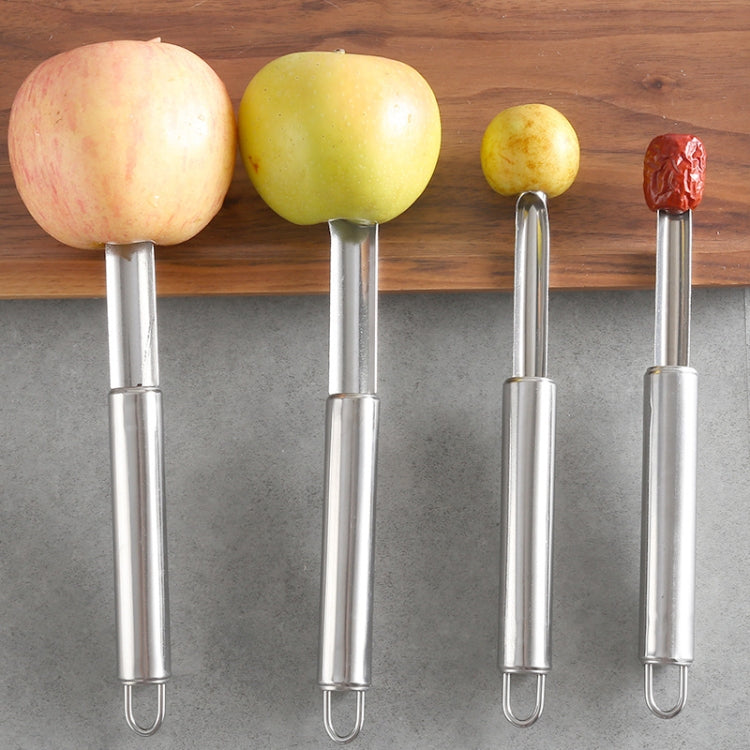 3 PCS Kitchen Stainless Steel Thickened Hawthorn And Red Dates Corer - Reluova