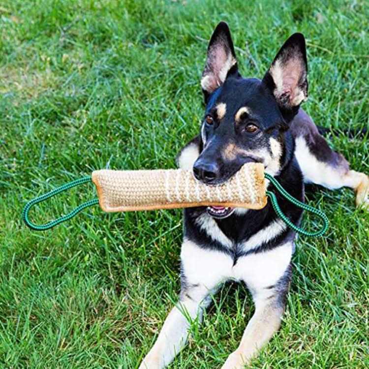 Dog Training Hemp Bite Stick Dog Bite Stick Dog Training Supplies - Reluova