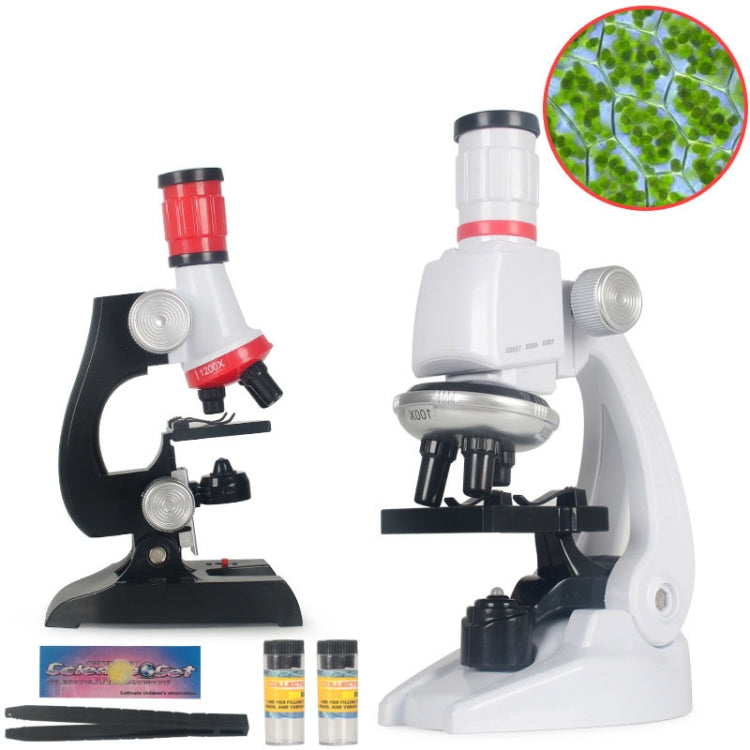 Early Education Biological Science 1200X Microscope Science And Education Toy Set For Children