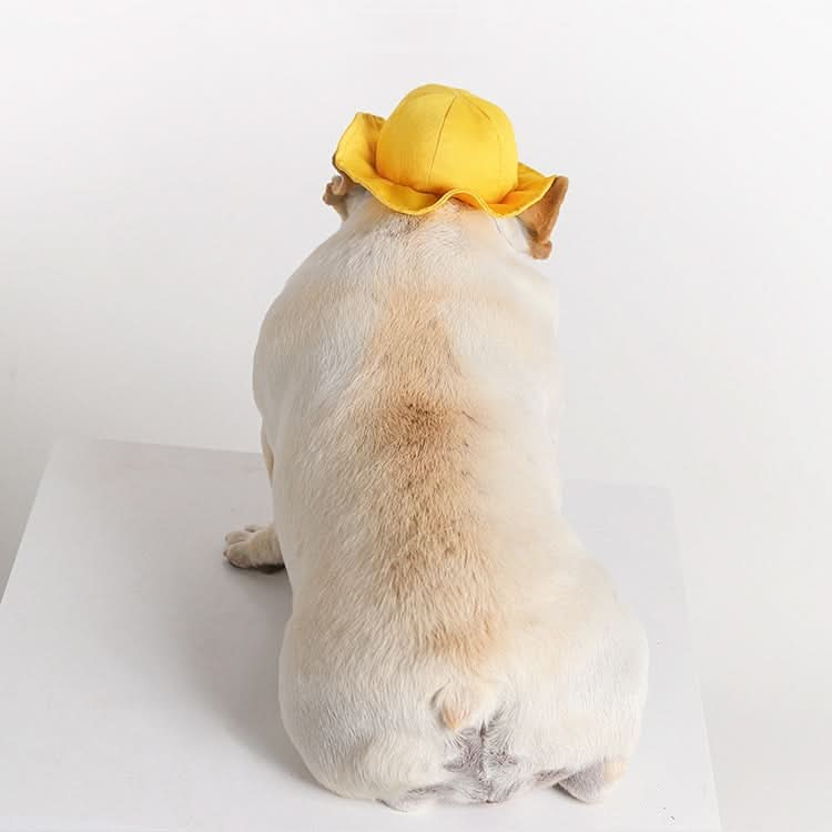 Dog Hat Summer Cool Photo Decoration Pet Cat Sun Hat - Reluova