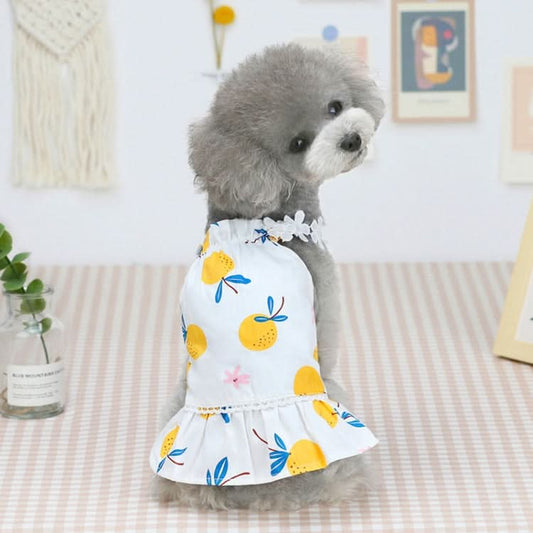 Pet Clothing Dog Cat Dress Bayberry Skirt - Reluova