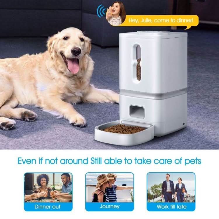 7L Smart Pet Feeder Timed Quantitative Large Window Cat And Dog Food Dispenser, Plug Type: EU Plug - Reluova