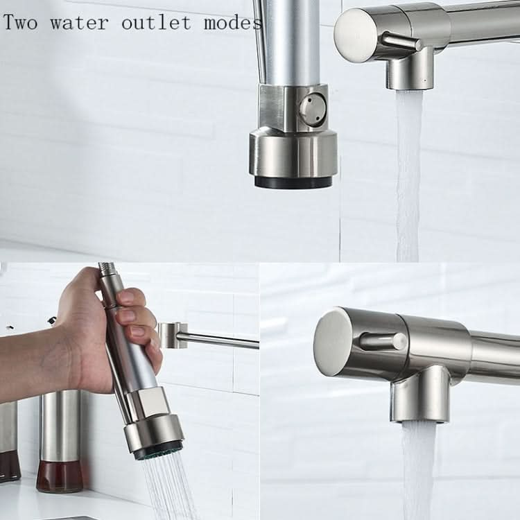 Copper And Nickel Brushed Double Outlet Spring Faucet Rotatable Kitchen Hot And Cold Water Faucet Reluova