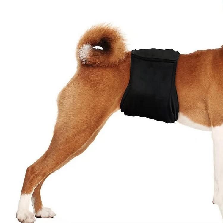 Male Dog Special Courtesy Belt Pet Physiological Pants - Reluova