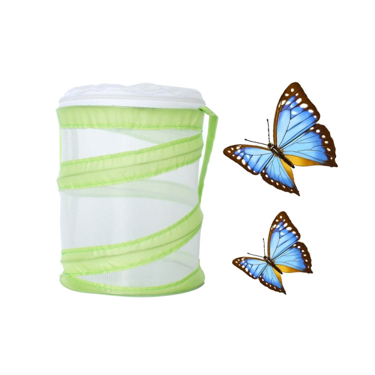 Foldable Butterfly Insect Cage Small Feeding Cage My Store