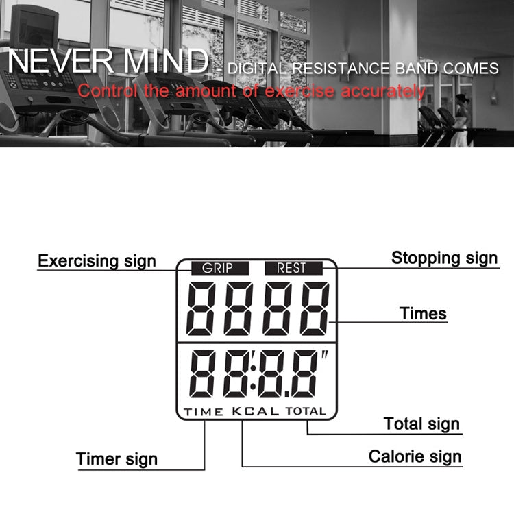 KYTO 2713 Calorie Electronic Counting Timing Chest Expansion Latex Tensioner Reluova