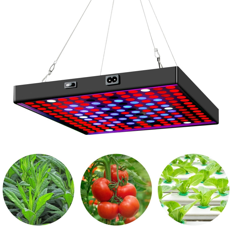 LED Plant Light Quantum Board Greenhouse Seedling Plant Growth Supplementary Light Full Spectrum Plant Planting Light My Store