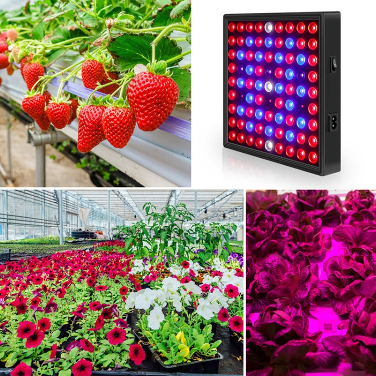 LED Plant Light Quantum Board Greenhouse Seedling Plant Growth Supplementary Light Full Spectrum Plant Planting Light My Store